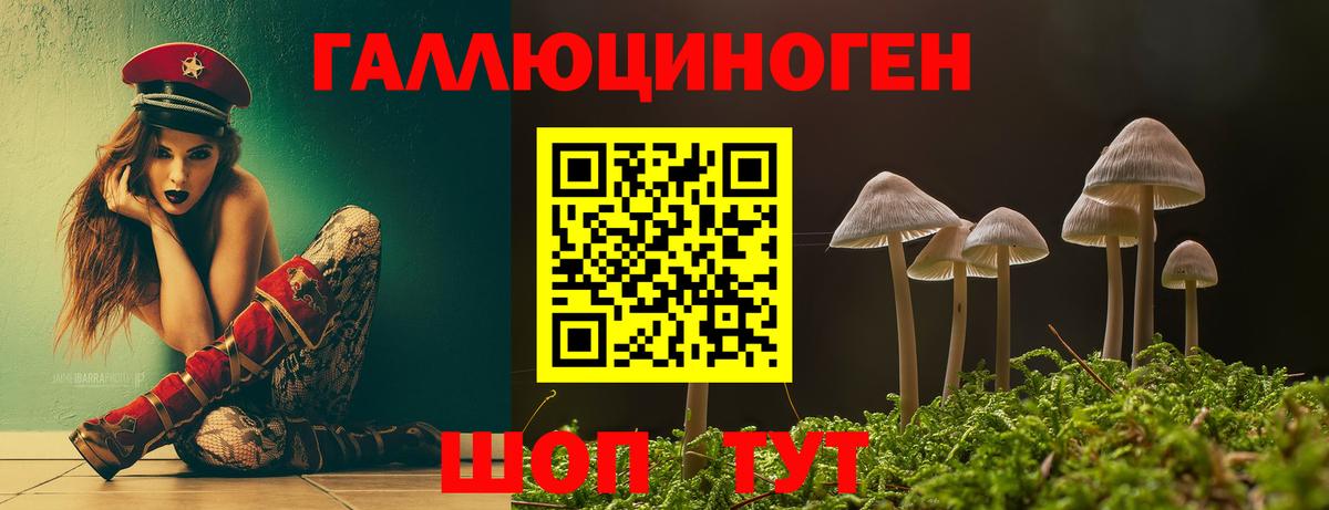 Псилоцибиновые грибы MAGIC MUSHROOMS  Псилоцибиновые грибы GOLDEN TEACHER  Вход с VPN  Магнитогорск 