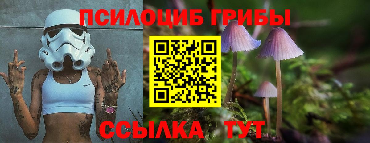 Псилоцибиновые грибы MAGIC MUSHROOMS Магнитогорск